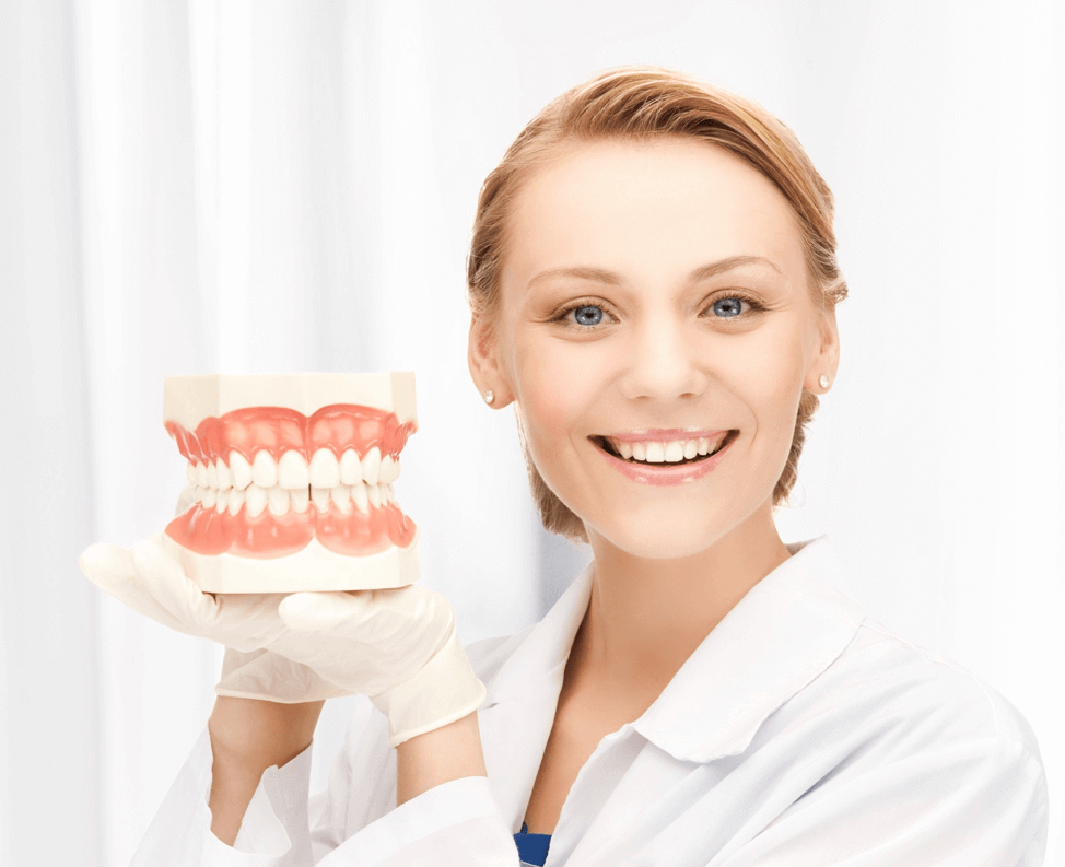 Female dentist holding prosthetic teeth 2