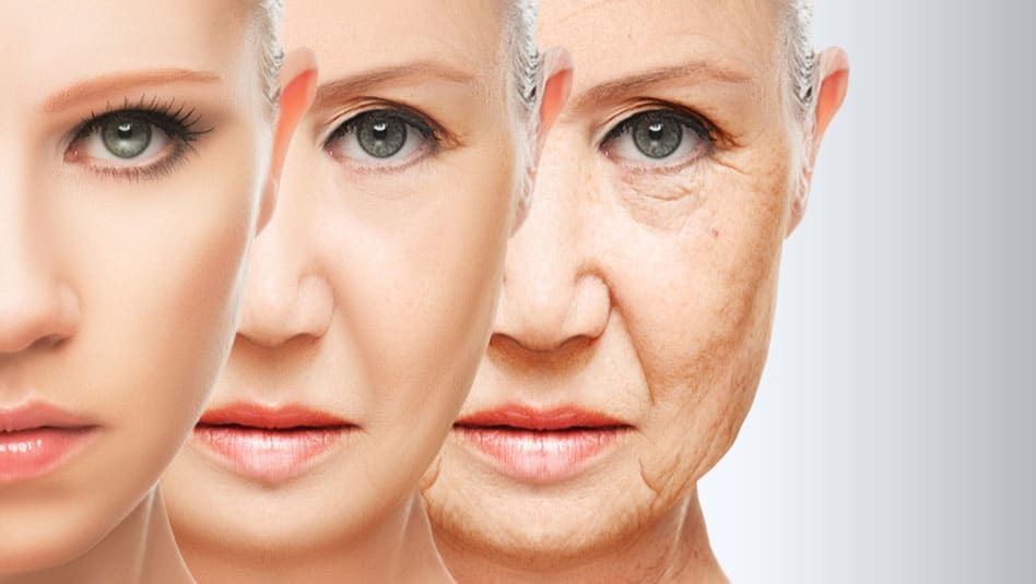 The Role of Facial Aesthetics in Anti-Aging Treatments